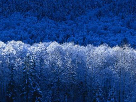 hiver infernal
